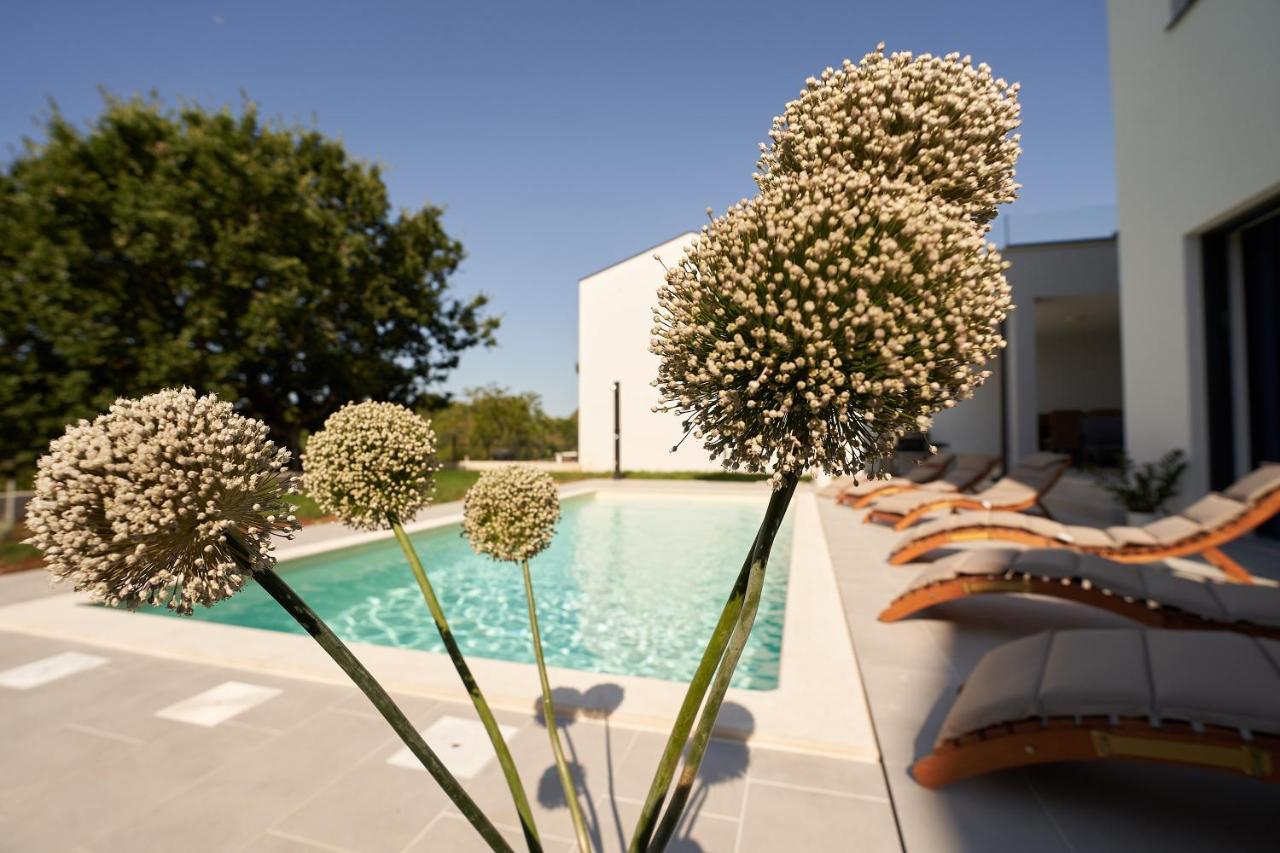 Villa Martin Noel Porec Exterior photo